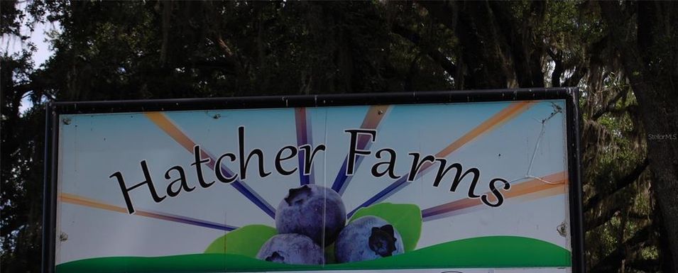 18811 SE 243RD STREET