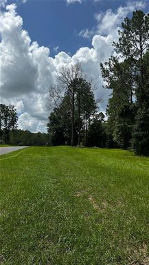 35001 PINEGATE TRAIL