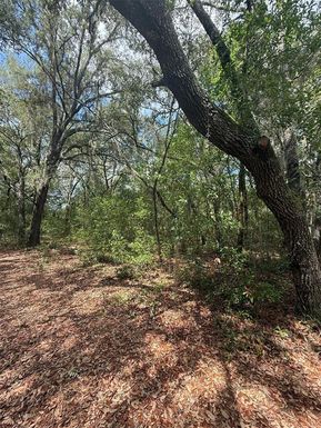LOT 132 DUNCAN AVENUE