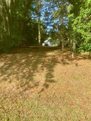 76 W HANGING MOSS COURT