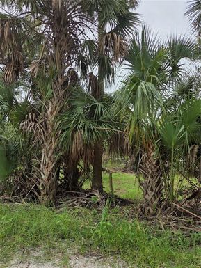 12835 RIVER ROAD