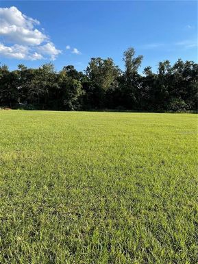 12705 MCINTOSH GROVES LANE