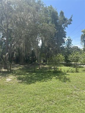 FERN DRIVE