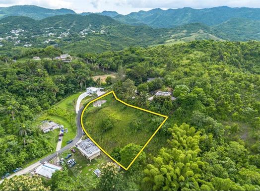 calle 14 km 68.5 SECTOR EL QUENEPO BO TOITA