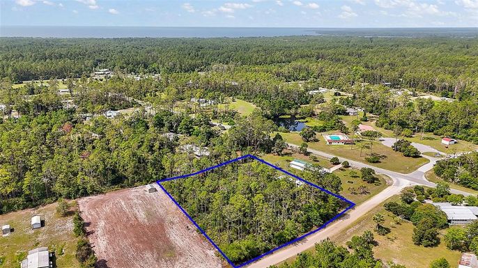 203 PONDEROSA PINE COURT