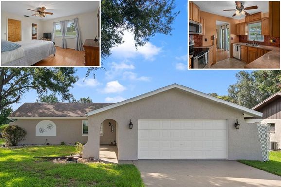 31076 CASTLE RIDGE DRIVE