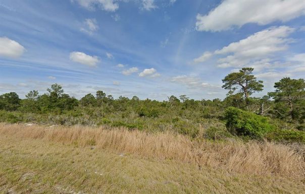 237 SANDPIPER STREET