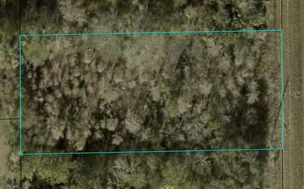 1366 COUNTY ROAD 305