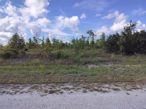 0 SCISSORBILL AVENUE