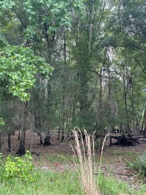 0 PALAMINO LAKE DRIVE