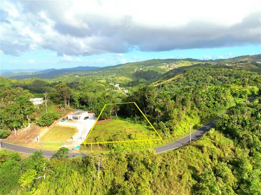 CARR. 816 KM 7 INT 781 BO. NUEVO SECTOR MARCANO UNIT SOLAR 1