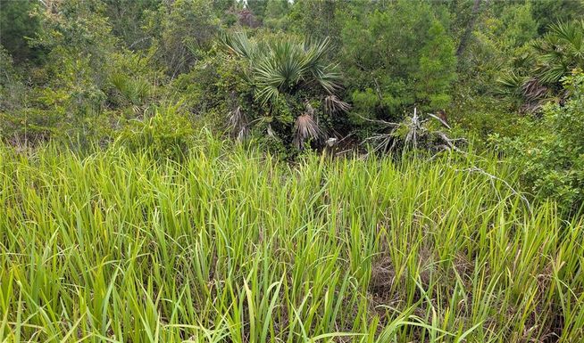 2939 W SEVILLE DRIVE