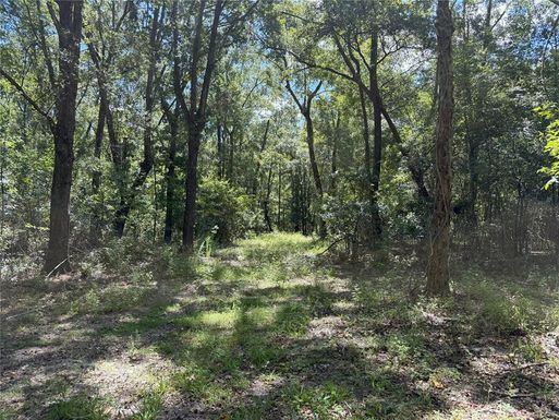 DO #3 (10ac) NW 193RD ST