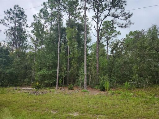 lot 24 SW 89TH CIRCLE