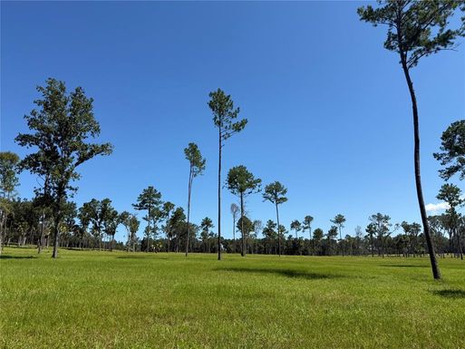 DO #8 (10ac) NW 193RD ST