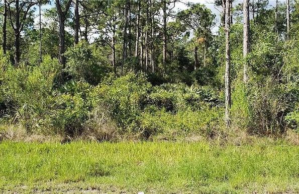 13475 SHEPPARD AVENUE