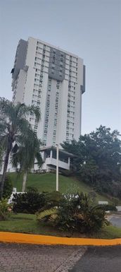 385 FELISA RINCON DE GAUTIER UNIT 1401