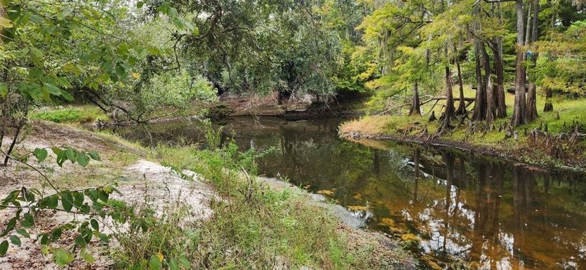 0012 MARCHMONT CIRCLE