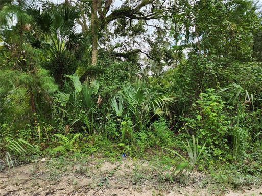 13046 E SHAWNEE TRAIL