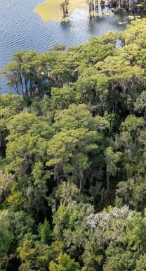 21707 NE 115TH AVENUE