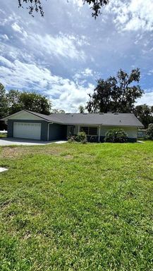 385 WILD ORANGE DRIVE