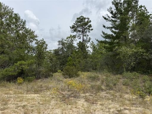 4468 W MALALUKA CIRCLE