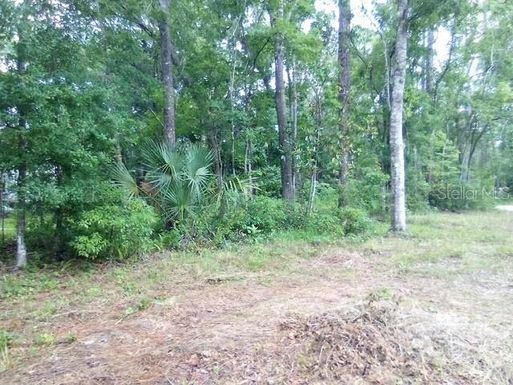 0 SALINAS AVENUE NEW PORT RICHEY, FL 34654 AVENUE