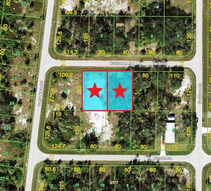 20033 & 20041 BUCHANAN AVENUE