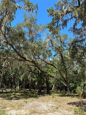 12641 W AMUR MAPLE PLACE