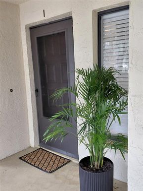 3600 MAGNOLIA RIDGE CIRCLE UNIT 1223