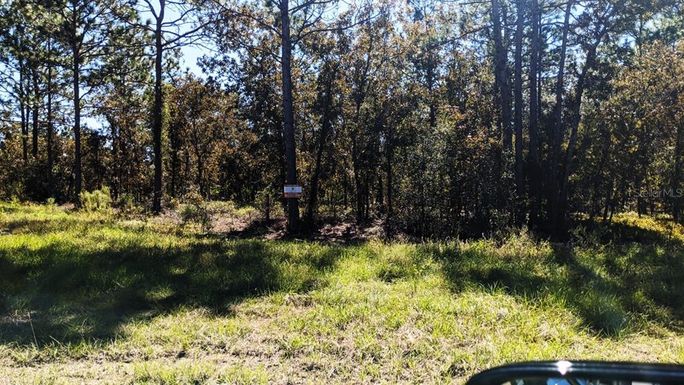 7781 SW 121ST TERRACE ROAD