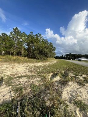 9169 N DELTONA BOULEVARD