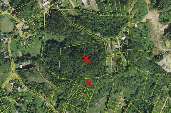 CARR. 443 4.9 INTERIOR