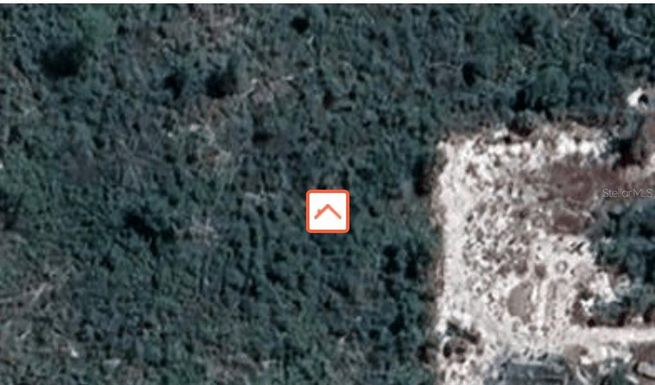 10321 HEATHER DOWNS TERRACE