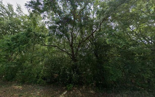 86 CHINABERRY CIRCLE