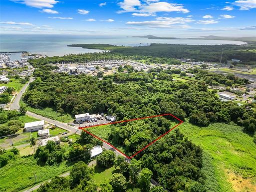 Carr. 982 Km 0.3 BO. DEMAJAGUA