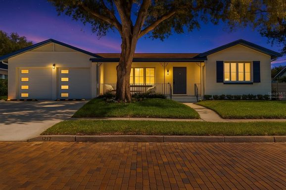 1217 E AMELIA STREET