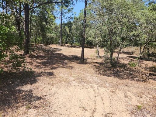 Lot 18 SW PINE BLUFFS ROAD