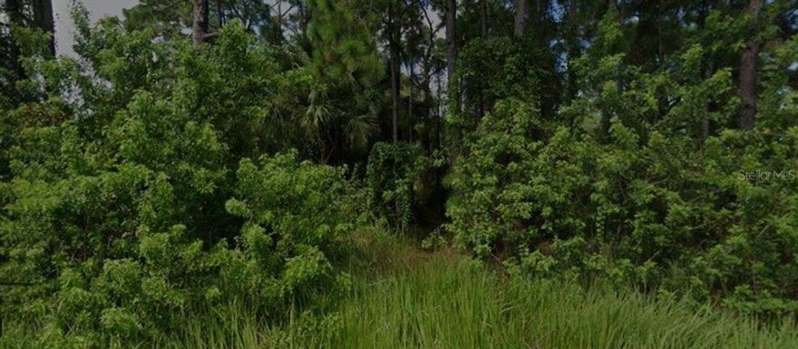 447 TRUMPET STREET SW