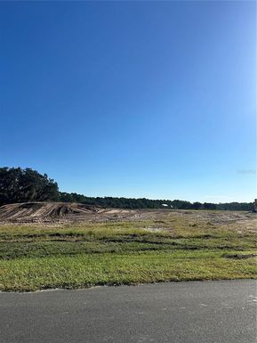 38404 WOODED MEADOW DRIVE