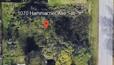 1070 HAMMACHER AVENUE SW