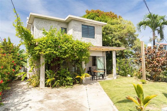 536 BRAVOS DE BOSTON