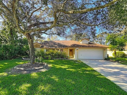 10040 SILVER BLUFF DRIVE