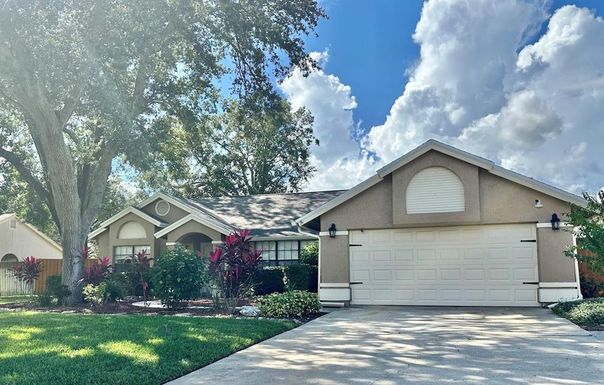 1234 MAJESTIC PALM COURT