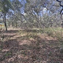 7377 KNOXVILLE DRIVE