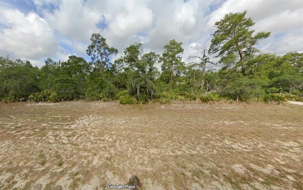 10605 S ORANGE BLOSSOM BOULEVARD