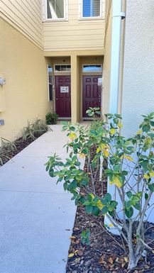 10785 VERAWOOD DRIVE