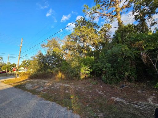 11290 SPRING HILL DRIVE