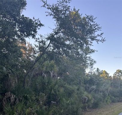 23391 BUCKNER AVENUE