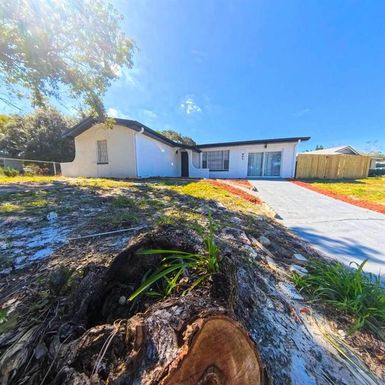 905 SPRING CREEK DRIVE